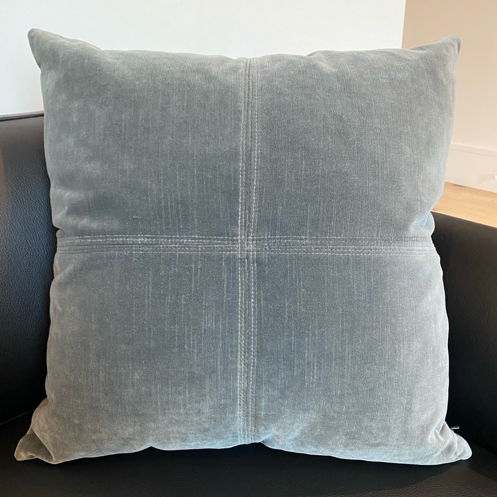 Restoration Hardware Velvet Pillow